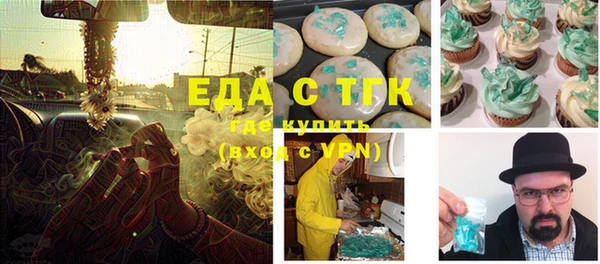 гидра Абаза