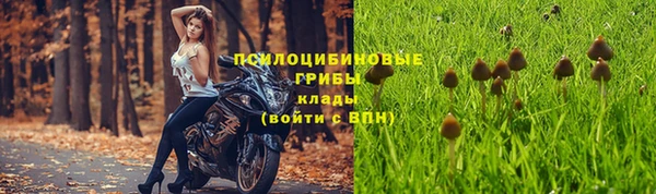 гидра Абаза