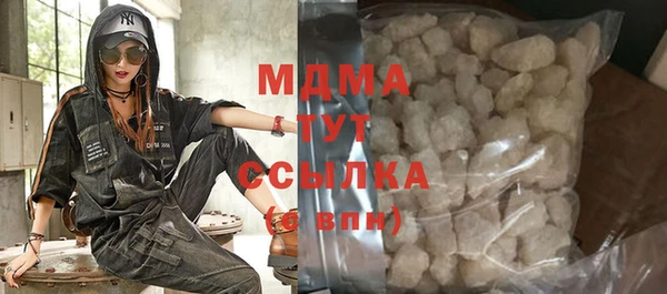 индика Алексин