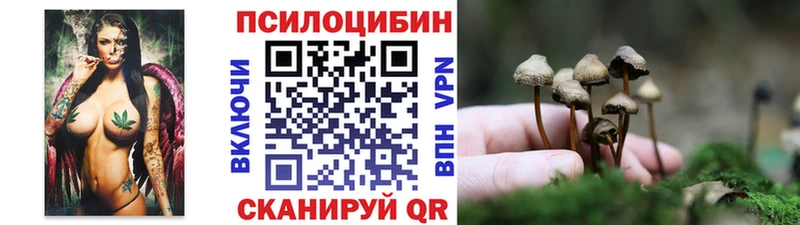Галлюциногенные грибы Psilocybine cubensis  Боровичи 