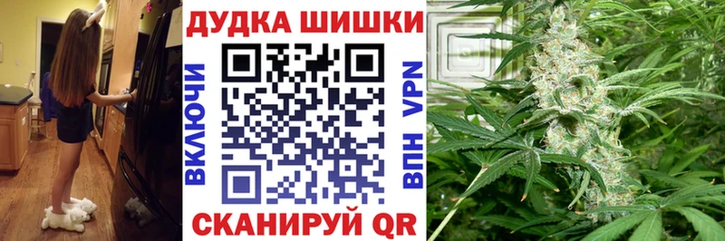 Бошки марихуана OG Kush Боровичи